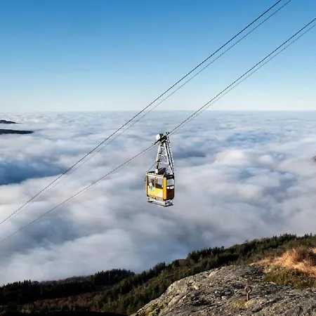 Apartament Nedre Stolen Bergen