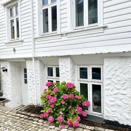 Nedre Stolen Apartament *